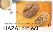 HAZAI project