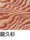 屋久杉